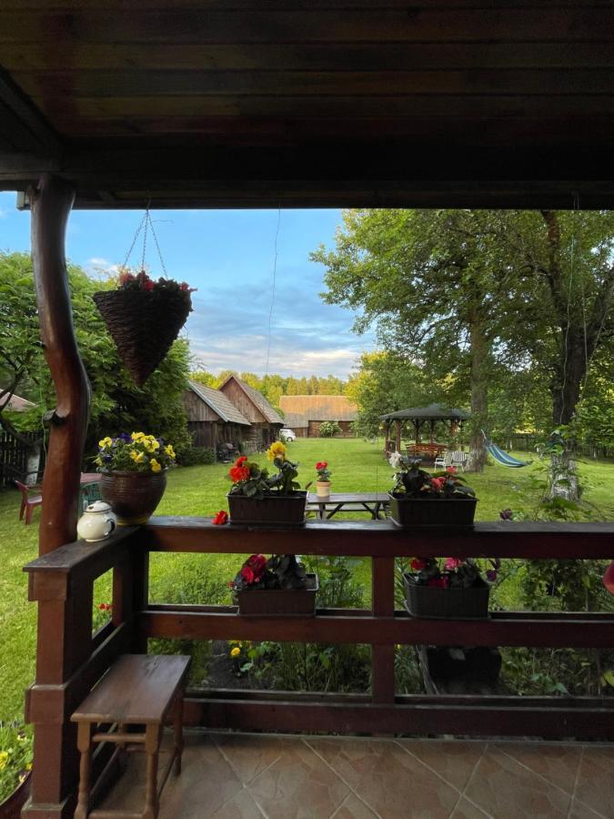 Dom Na Skraju Puszczy Bialowieskiej Narewka Экстерьер фото
