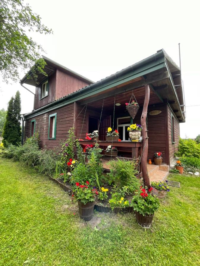 Dom Na Skraju Puszczy Bialowieskiej Narewka Экстерьер фото