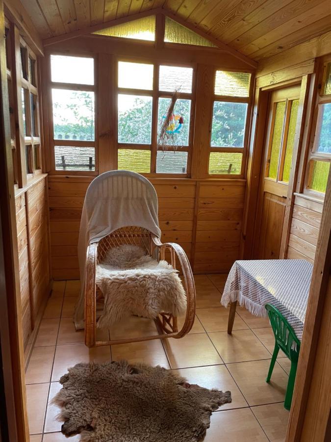 Dom Na Skraju Puszczy Bialowieskiej Narewka Экстерьер фото